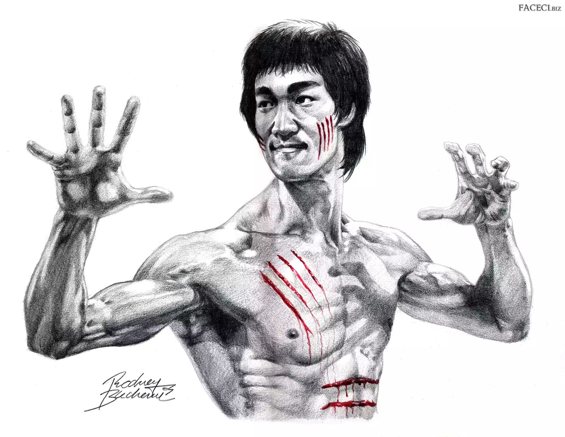 Rysunek, Bruce, Lee